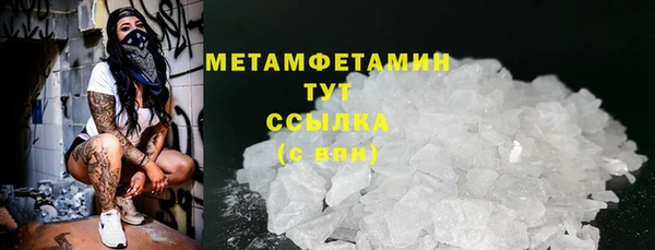 индика Богданович