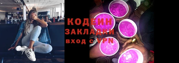 индика Богданович