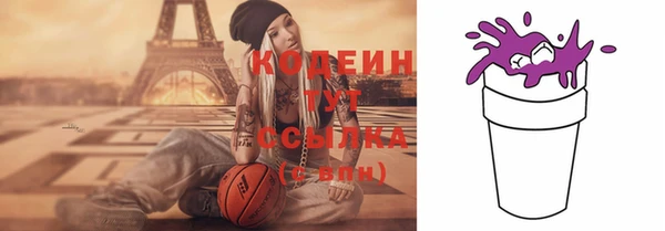 индика Богданович