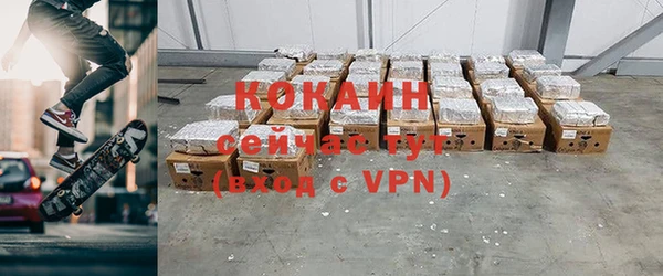 индика Богданович