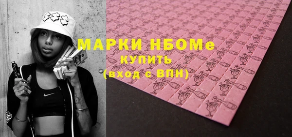 индика Богданович