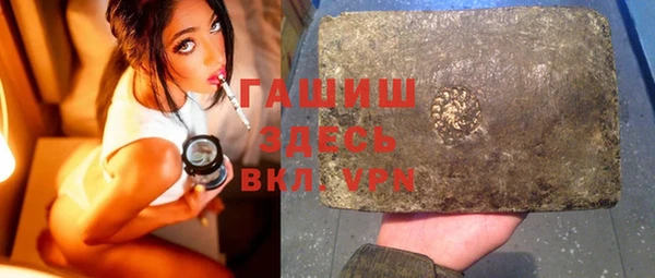 индика Богданович