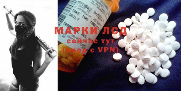 индика Богданович
