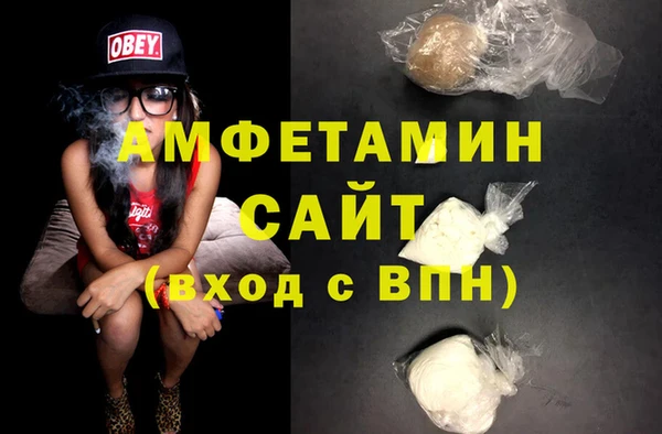 индика Богданович