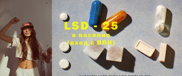 индика Богданович